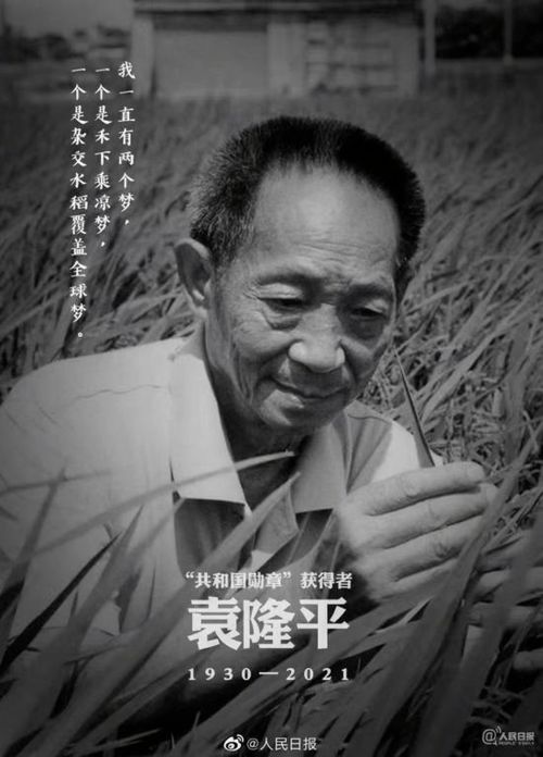 家族荣耀马展鸿父亲的死亡真相是什么