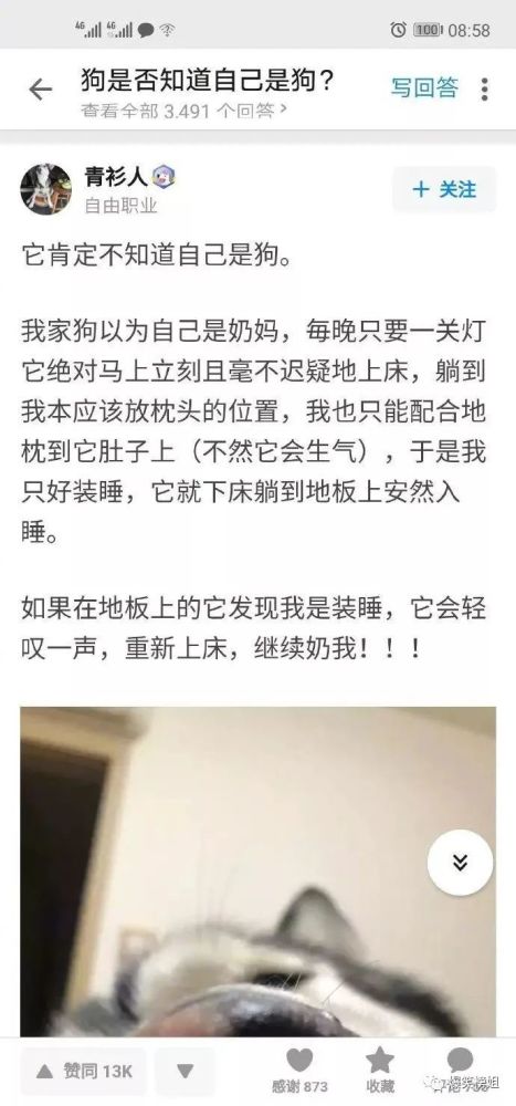 《莲花楼》李莲花在第几集知道单孤刀的真相